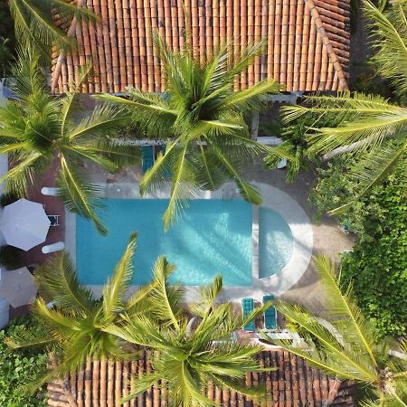Bungalows Santa Cruz Puerto Escondido  Eksteriør billede